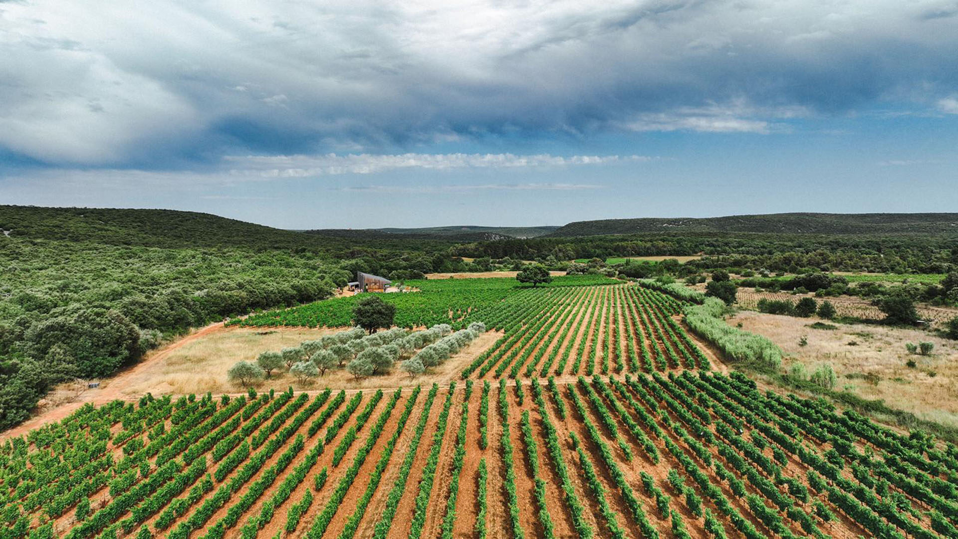 0ace3098 5289 4090 a4f6 0ee62da63d5a