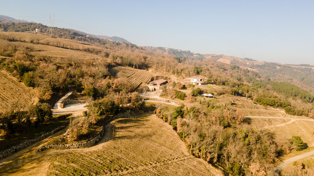 20220124 MIKA BOUDOT DJI 0477 original