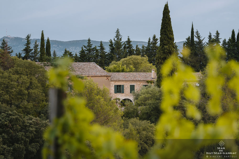 A7R00008© Vincent Bartoli