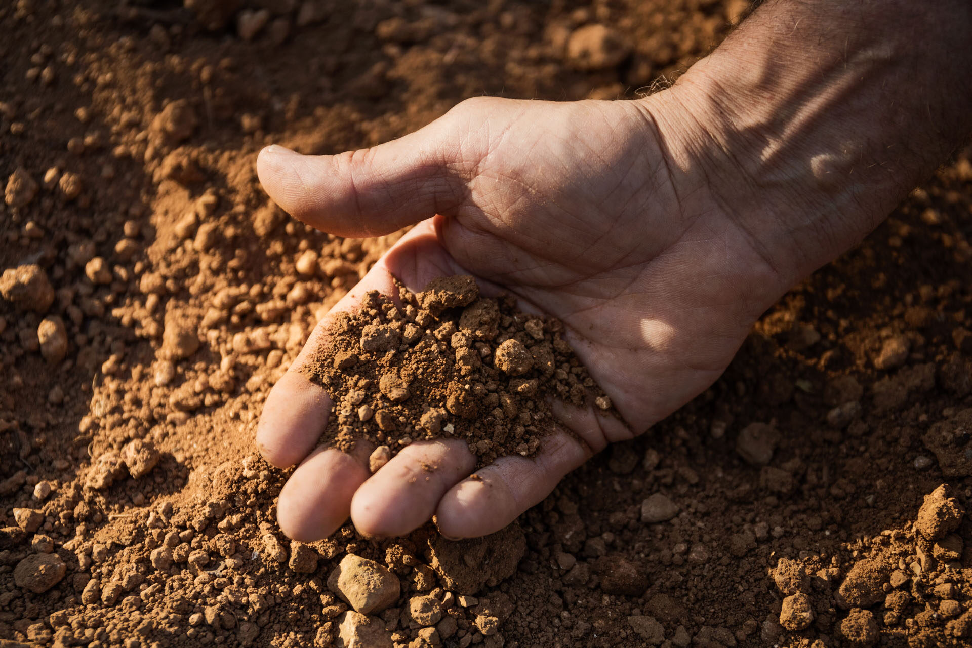 Briceportolano Terrebrune 04
