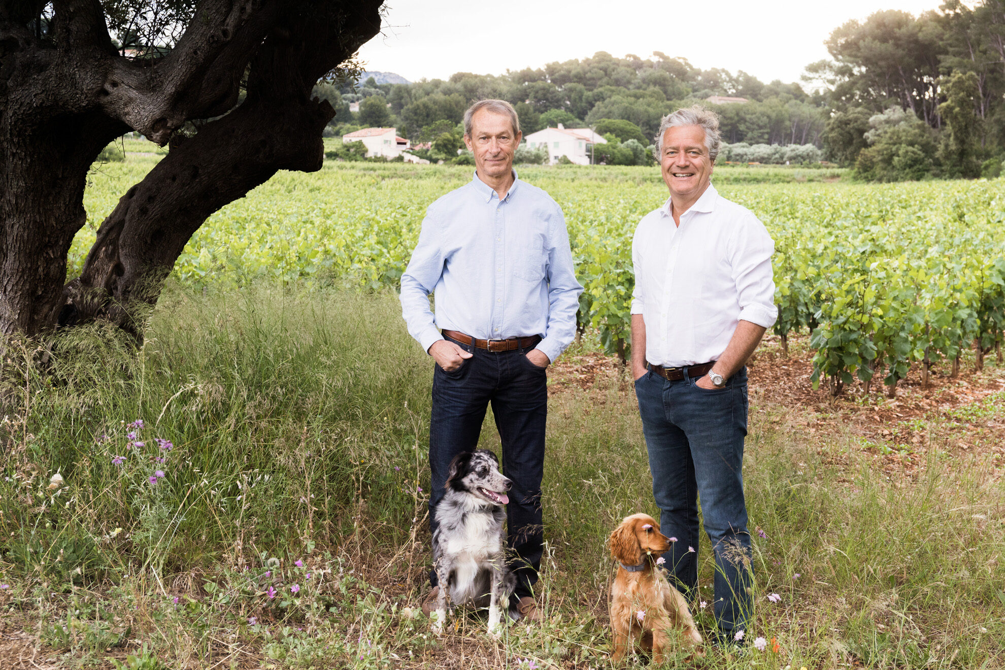 Briceportolano Terrebrune 69