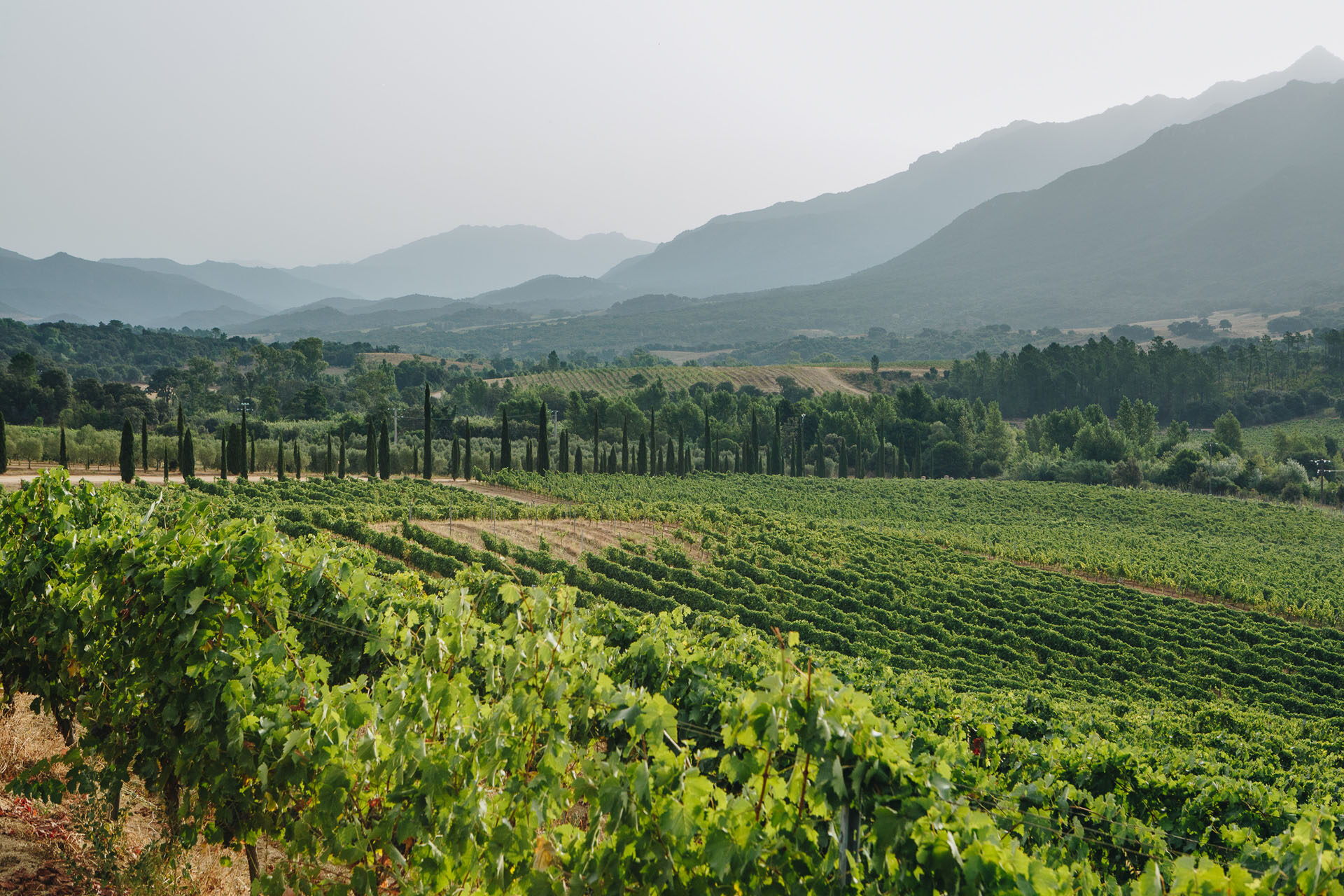 CASTELLUDIBARICCI AOUT21 14