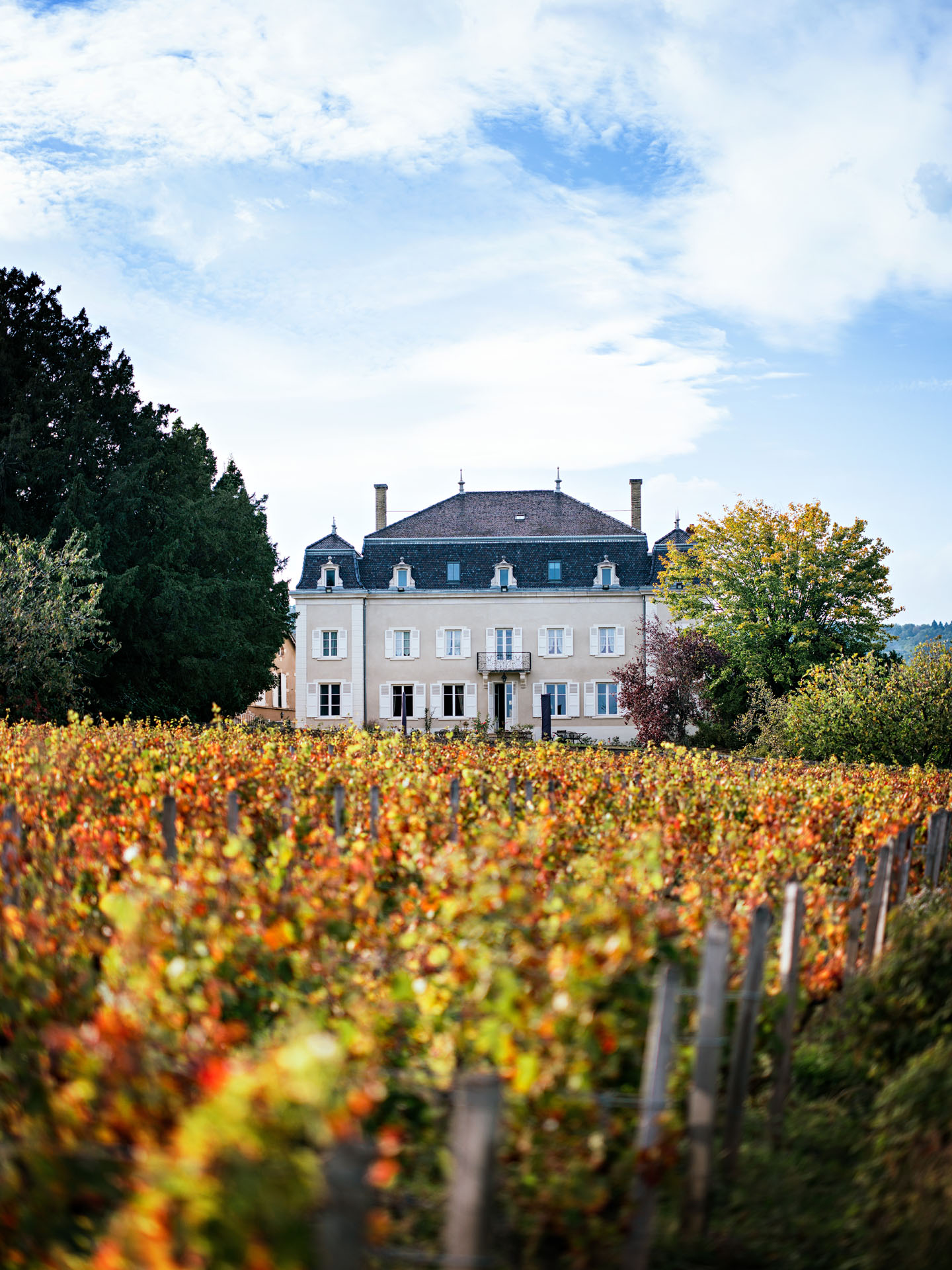 Chateau du Moulin à vent
