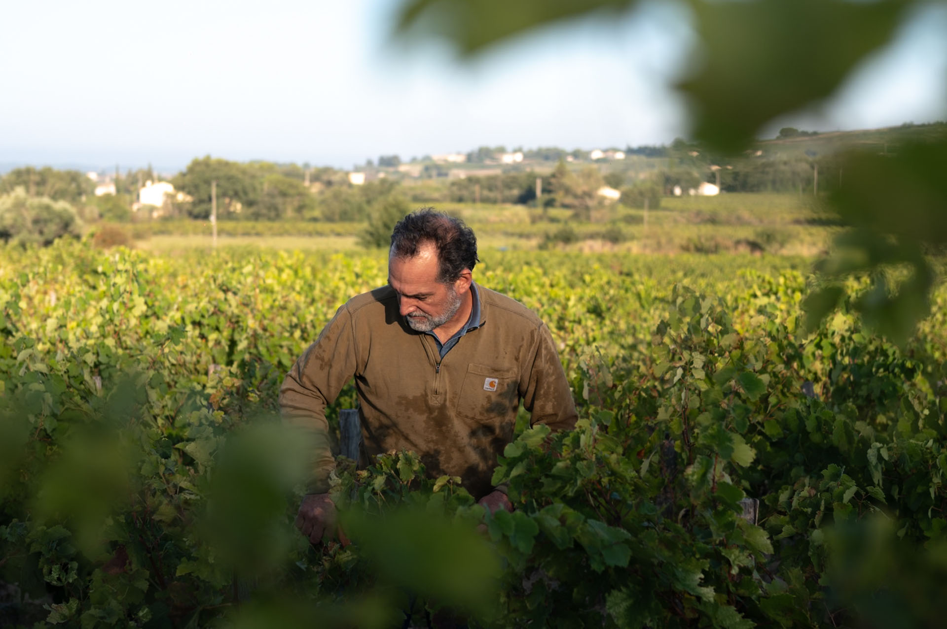 Domaine Gourt de Mautens