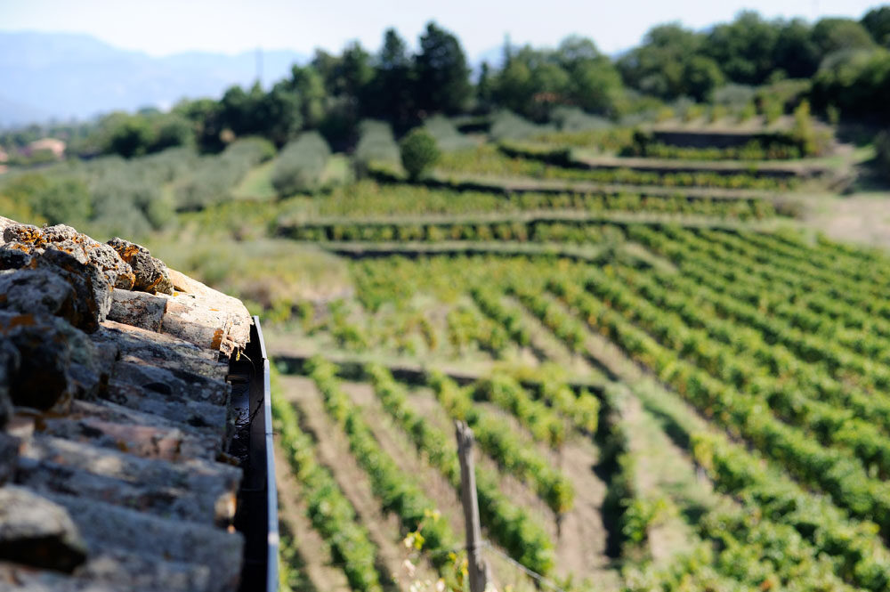 NAN 2328 00025 Modifica