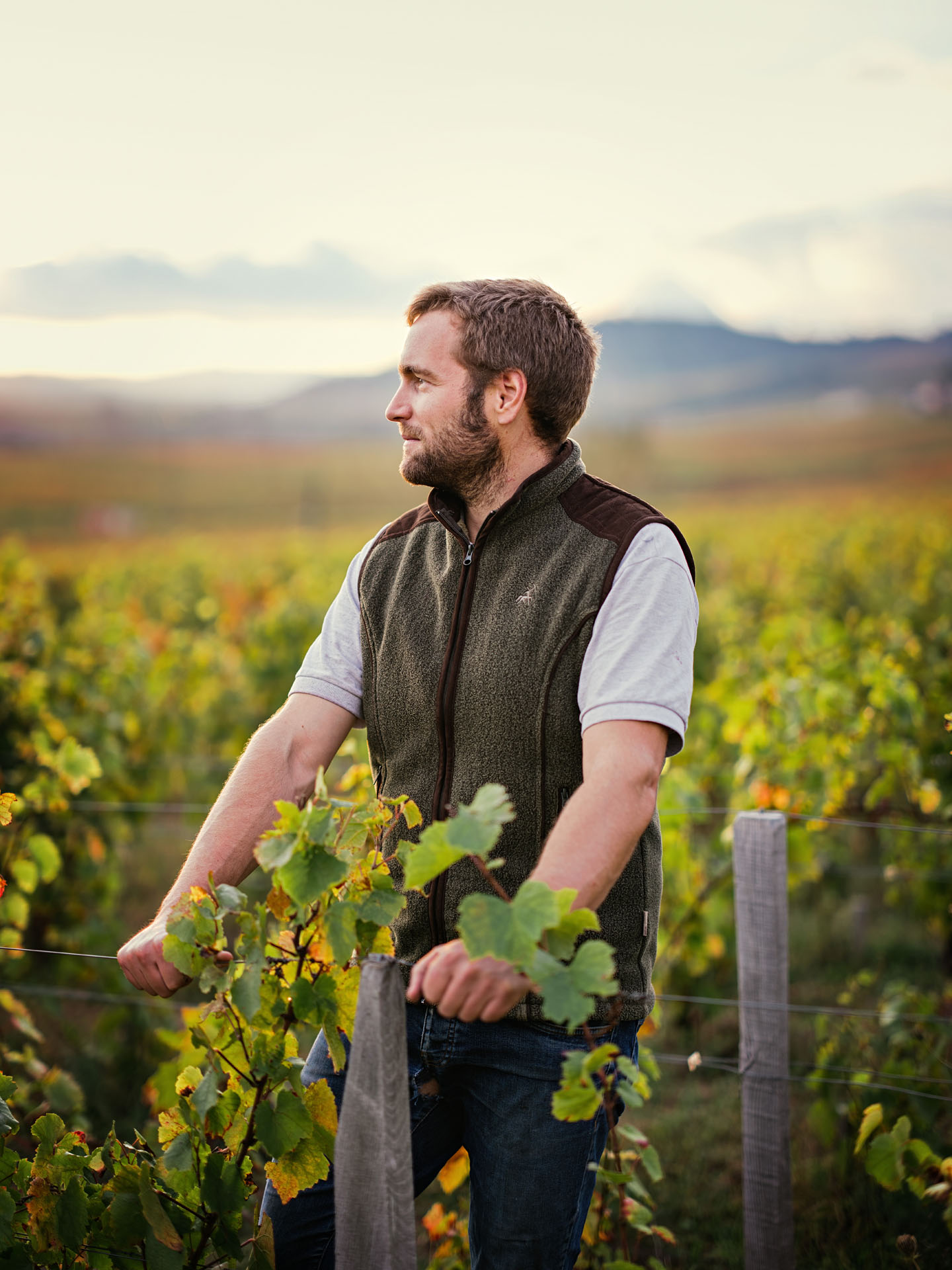 Domaine du Roc des Boutires