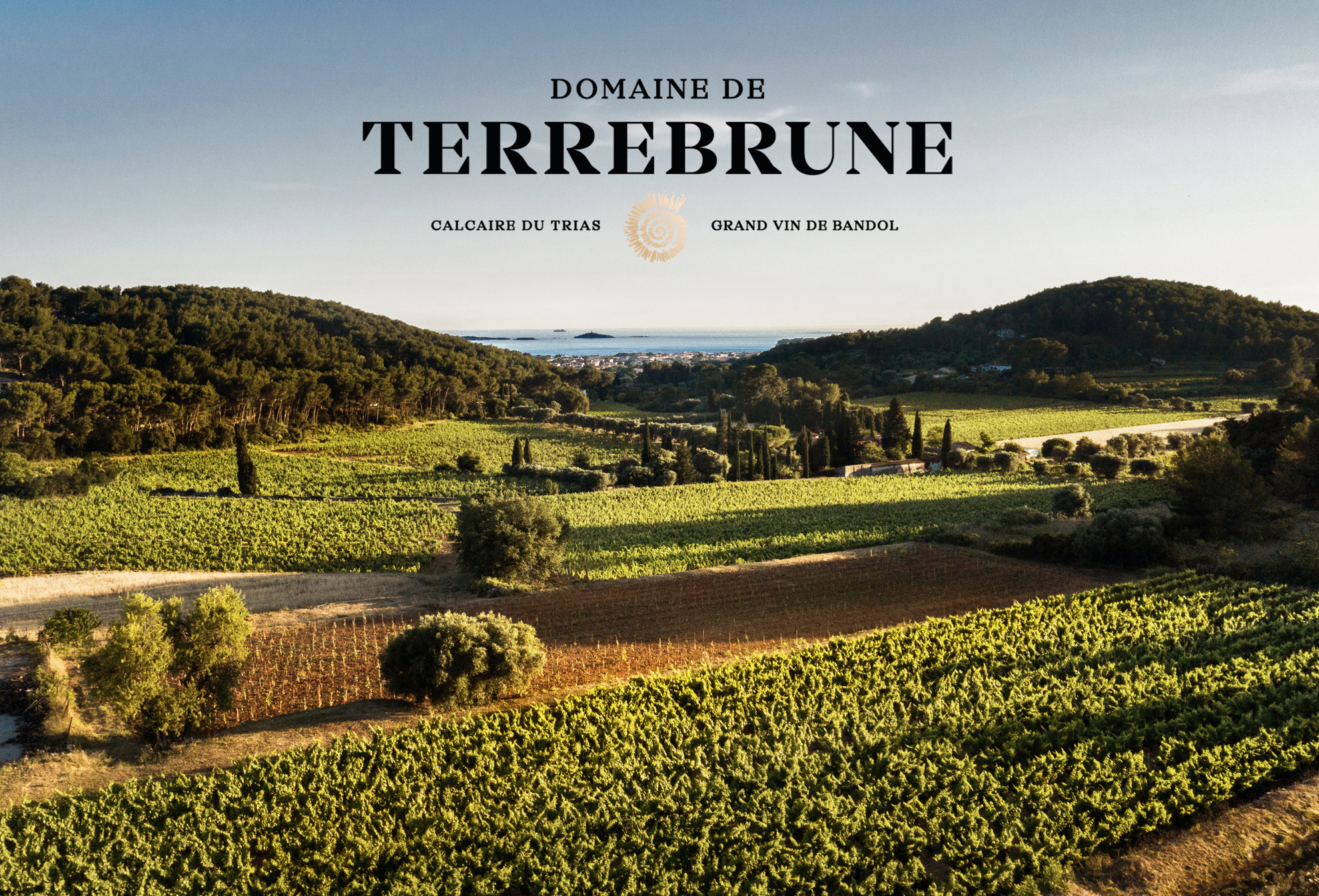 Domaine de Terrebrune