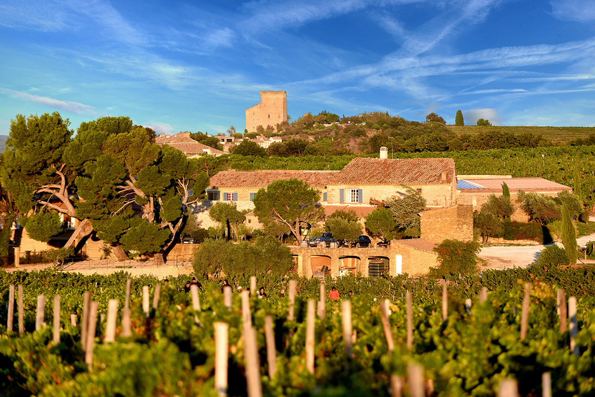 Domaine de la Solitude