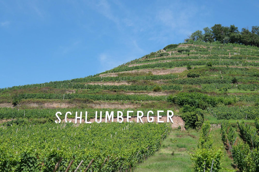 Domaines Schlumberger