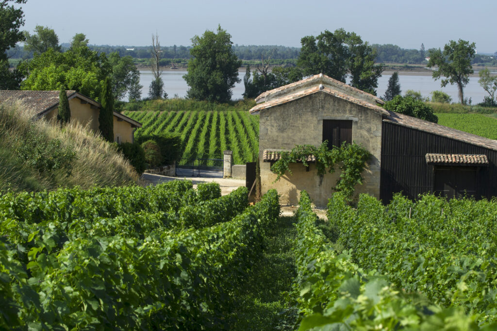 RC 7 Vignes et grange (002)