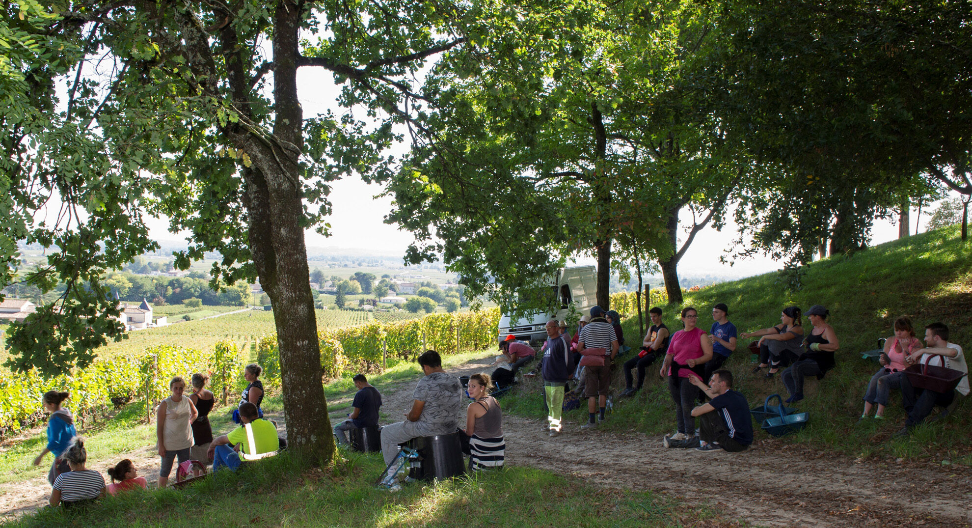 Tertre Roteboeuf vendanges le repos (002)